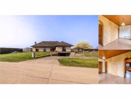maison à vendre à haart 12 westerlo (rbv86613)