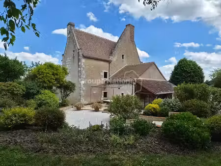 vente appartement 6 pièces 171 m² à richelieu (37120)  450 000 €