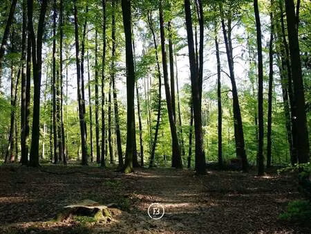 terrain à vendre à sint-kruis € 45.000 (lo2y5) - found & baker brugge | zimmo