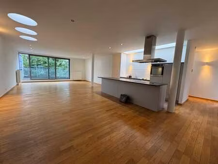 loft penthouse 150m2 + terrasse 22m2 + cave + parking