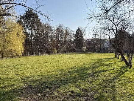 oberbronn sud - terrain de 87 ares dont 50 ares constructibles  avec maison et hangar