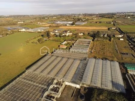 terrain agricole avec bâtiments – zone ah – 17 000 m² – proche angers