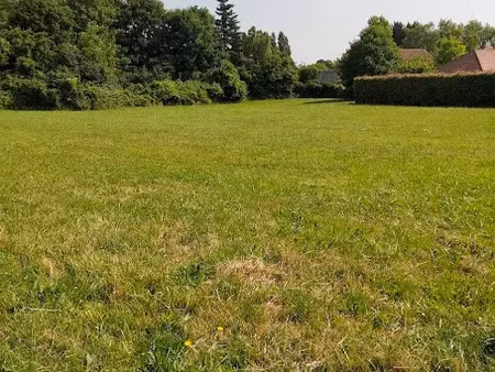 vente terrain 459 m² à vaudoy-en-brie (77141)  97 000 €