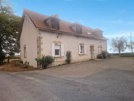vente maison 7 pièces 197 m² saint-marcel-en-murat (03390)