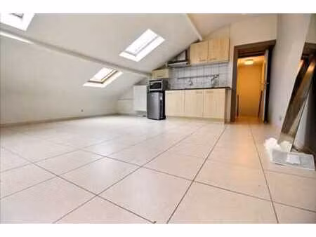 appartement 1 chambre avec velux  jemeppe-sur-sambre