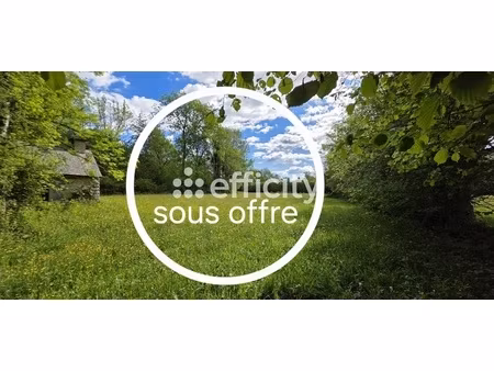 maison 1 pièce - 15 m²