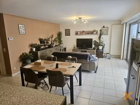 appartement te huur in lovendegem met 2 slaapkamers