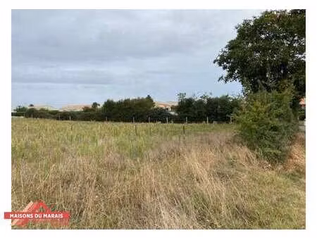vente terrain à villiers-en-plaine (79160) : à vendre / villiers-en-plaine