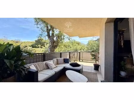 appartement avec terrasse propriano (2a)