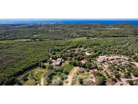 terrain bonifacio (2a)