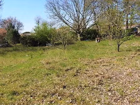 vente terrain à construire 800 m² roaillan (33210)
