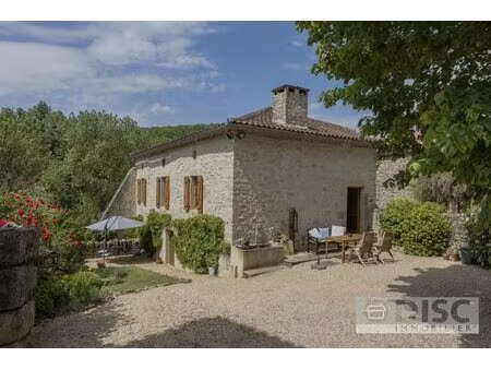 charmante maison en pierre rénovée avec jardin  terrasses et caves.