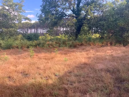vente terrain à construire 500 m² salles (33770)