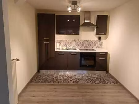 lumineux appartement style loft de 60m2 rénové - peb b