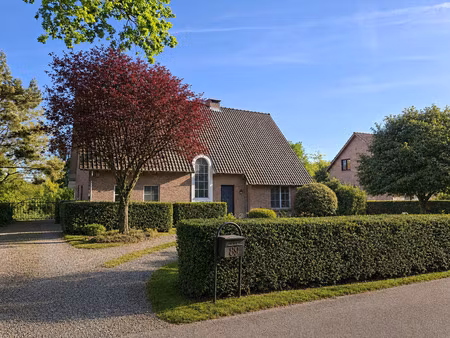 maison à louer à zutendaal € 1.650 (lo3gq) - reinier klomp | zimmo