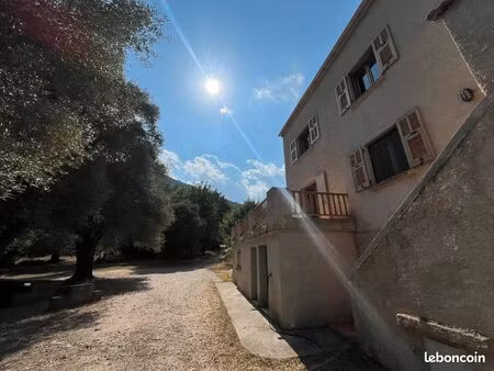 maison spacieuse de 220 m2 à corte à louer pour l'année étudiante. idéale collocation