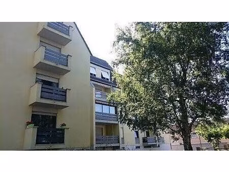 immobilière strauss