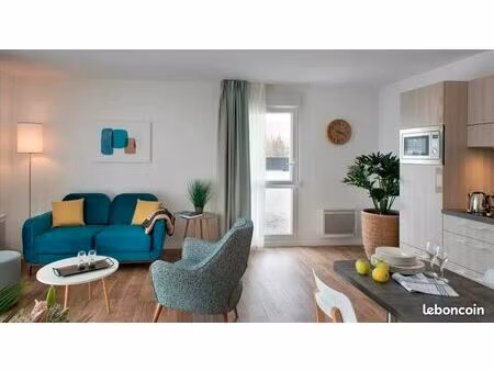 appartement 1 pièce 45 m²