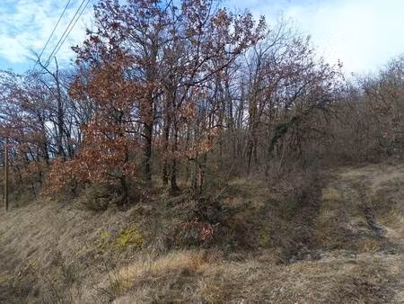 terrain de chasse à vendre