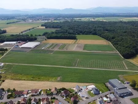 terrain constructible viabilisé à vendre