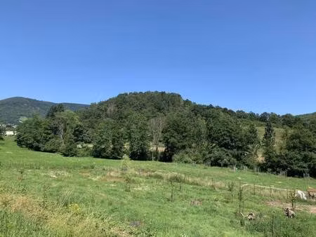 terrain à vendre