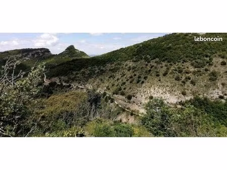 maison avec terrain