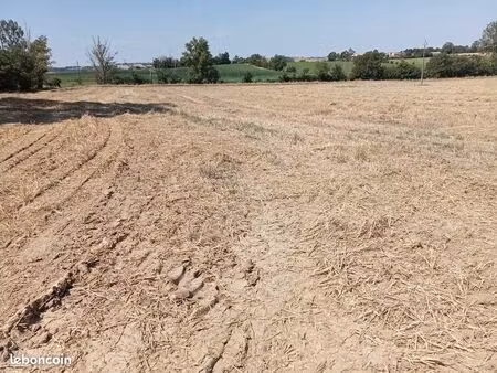 terres agricoles
