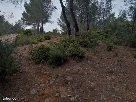 terrain de loisir