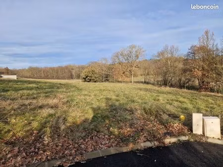 forêt 600 m² pujaudran