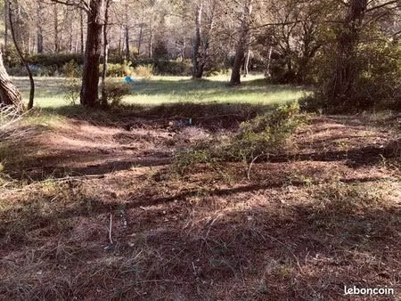 vente terrain zone naturelle