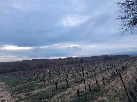 terrain agricole
