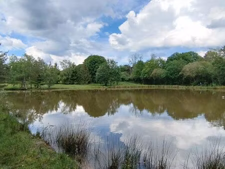 prairie avec étang à louer à la bouëxière