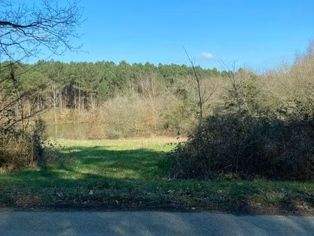 forêt 15ha avec étang