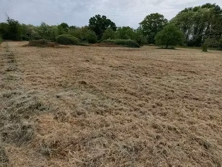 terrain constructible