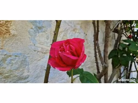 coup de coeur propriete en pierres apparentes dole/azans