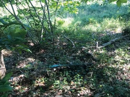 terrain plat en bord de route