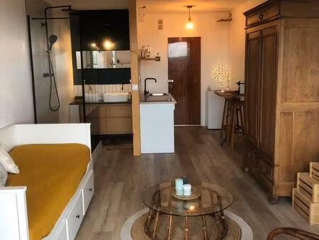 studio type loft