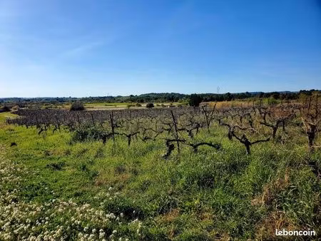 terrain 356 m² loupian