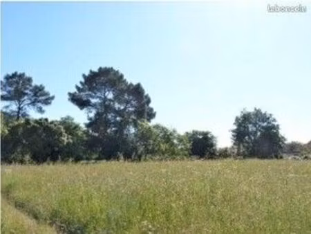 terrain 905 m² camblanes et meynac