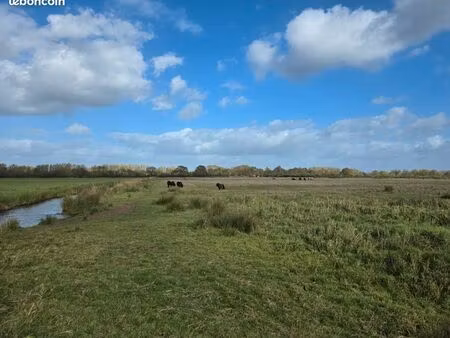 parcelle de 4 hectares près de la martinière prairie foin