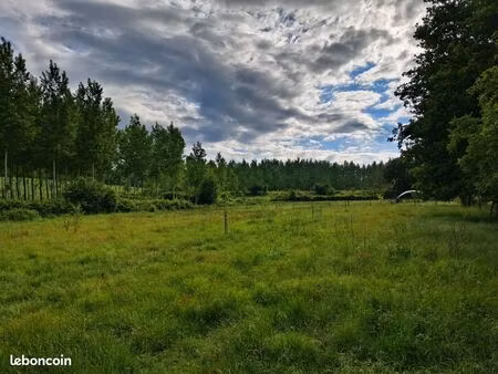terrain agricole 8000m2