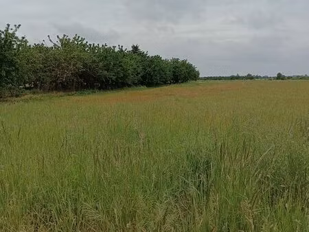 vente d'un terrain à bâtir