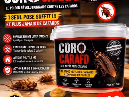 extermination de cafards ulra puissant