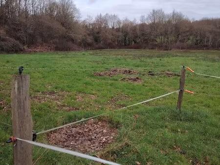 terrain agricole - loisirs 7400m2