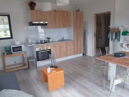 studio meuble 33 m2  brindas