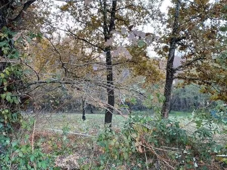 terrain 600 m² le teich