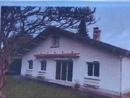 location maison avec jardin