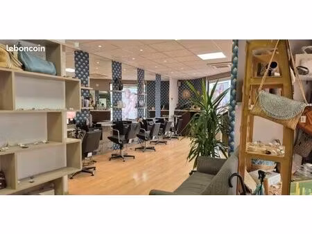 salon de coiffure chaponost a vendre