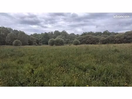 terrain 22230 m² saint jean brevelay