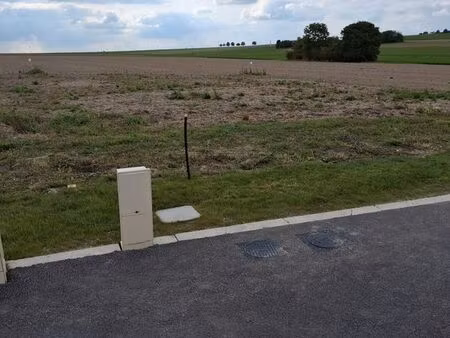 terrain constructible